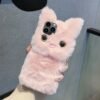 For iPhone 12 Pro
